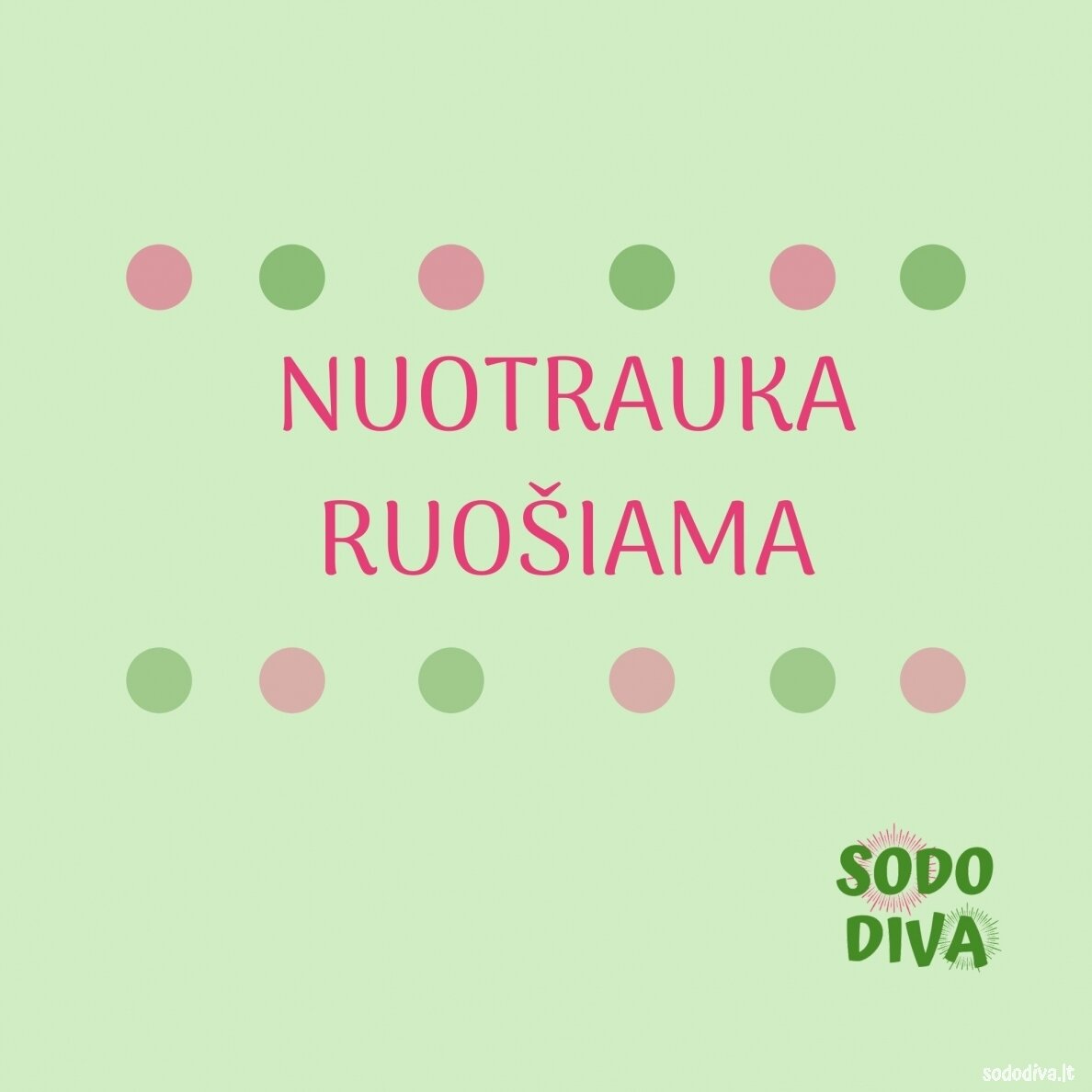 Sora rykštėtoji ‘STRICTUM‘ Sora rykštėtoji ‘STRICTUM‘